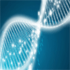 Exploring the Regulation of Genetic Testing in Sport